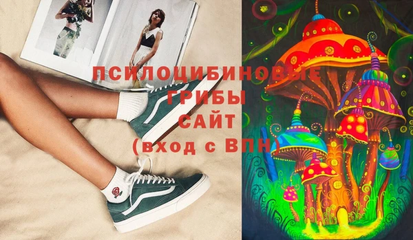 MESCALINE Няндома