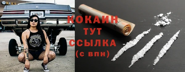 MESCALINE Няндома
