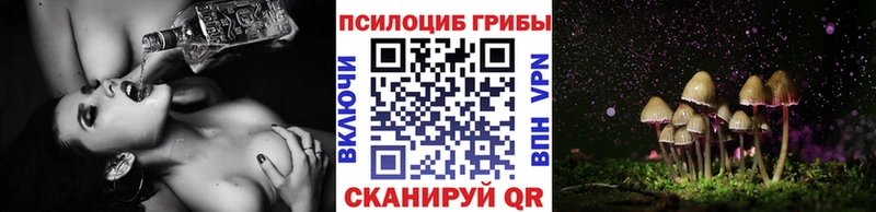 хочу   KRAKEN как зайти  Галлюциногенные грибы Magic Shrooms  Баймак 